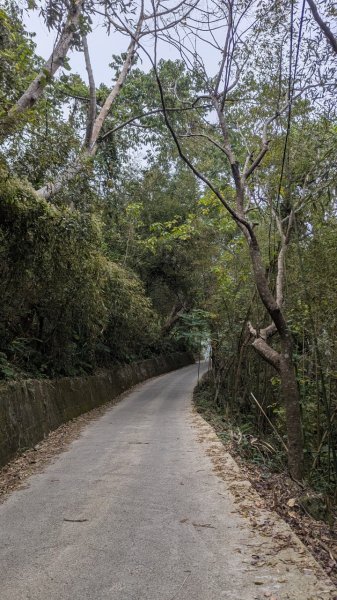 橫龍山、橫龍古道2682939