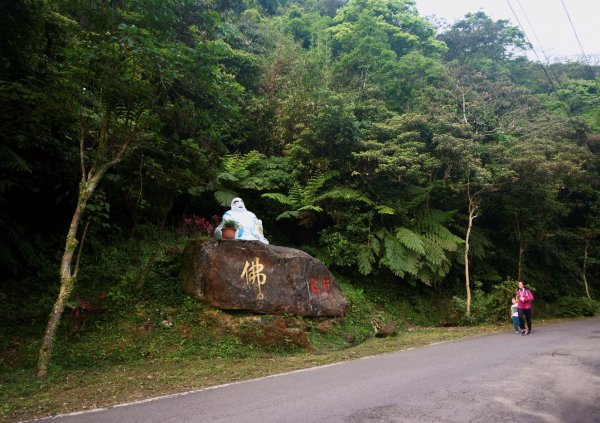 大尖山、四分尾山步道1332209