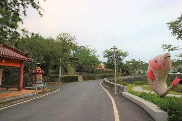 〔南投魚池〕澀水森林環狀步道，田頂步道。我真的走入侏儸紀公園裡！！！原來摸黑下山是這種感覺！！！2264304