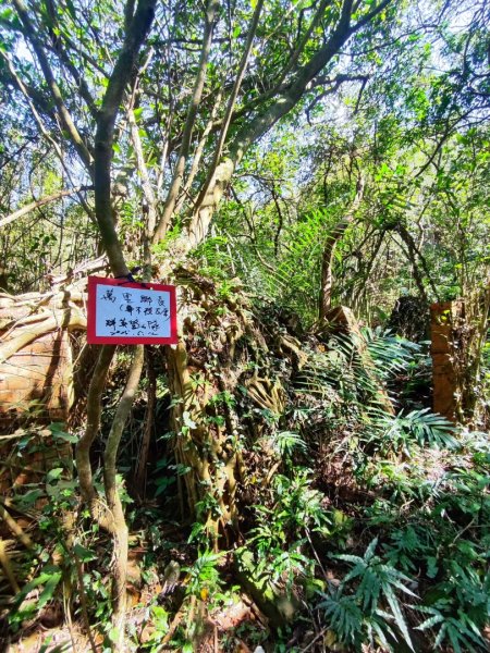 萬中瀑布-瑪鍊山-大路嶺古道-村長古厝-金剛岩-獅頭瀑布3005096