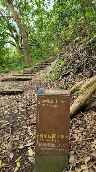 紗帽山步道2089776