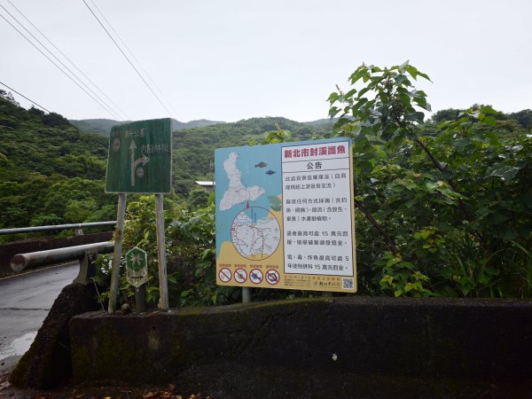 [淡蘭古道] 2026_0614 北路第三段_道路3075542
