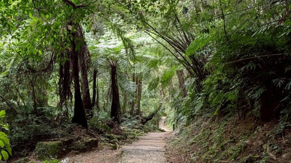 天上山步道2980440