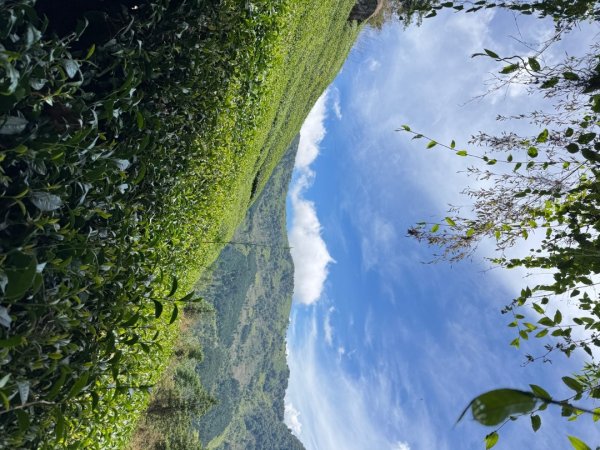 頂石槕步道群順訪樂野山2808422