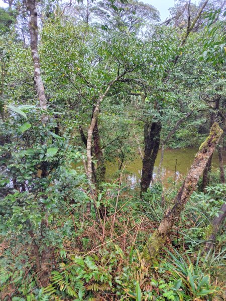 渭水之丘 烘爐地山 抹茶山 三角崙山2938747