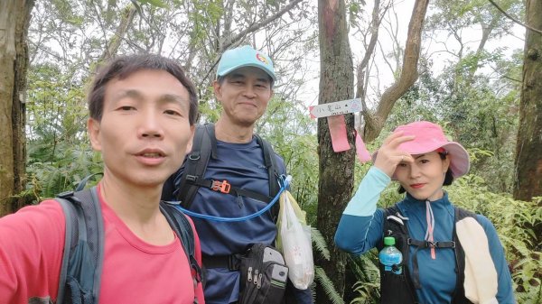 飛沙縱走33連峰2025年4月13日2760359