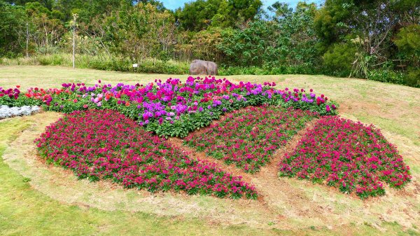 三層崎的呢喃2692144