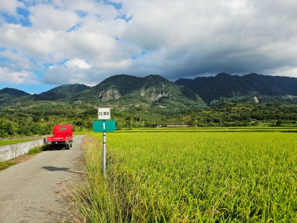 羅山村竹林步道-2025漫遊縱谷愛在花東-花蓮縣富里鄉2916715