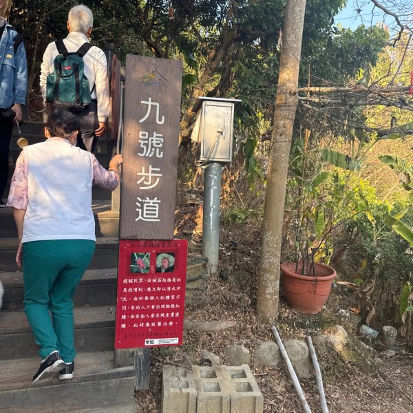 20260218 台中－臺灣百大必訪步道大坑9、10號步道3006438