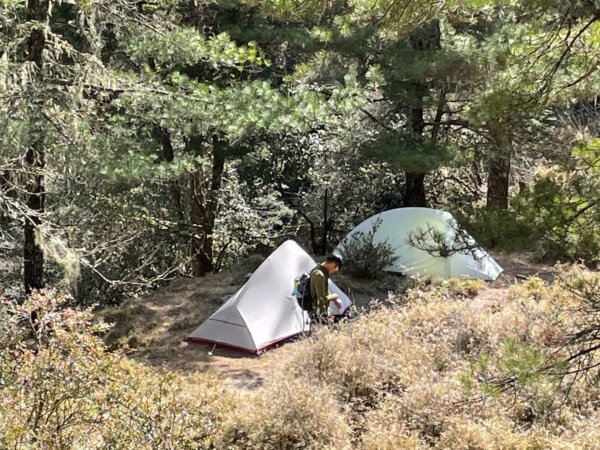 八大秀（八通關山、大水窟山、秀姑巒山）1459908