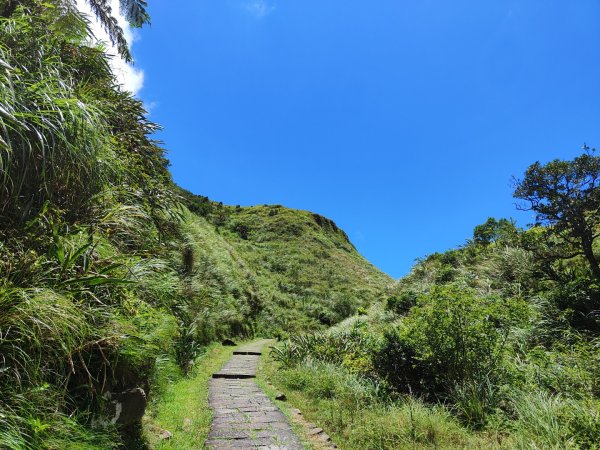 草嶺古道-福隆到大里一日遊2552293