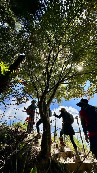 馬那邦山O走2370084