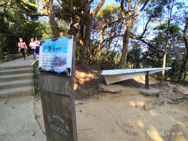 【臺北大縱走 5】碧山巖→忠勇山越嶺步道→金龍產業道路→圓明寺步道→鄭成功廟步道→文間山→劍潭山步道2744883