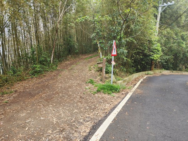 20230409那羅山、煤源山、大混山、道下山O型2141985