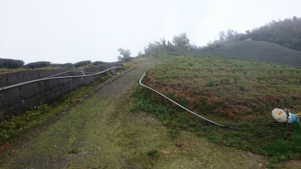 梨仔腳山＋碧湖山+大、二尖山四山縱走209011