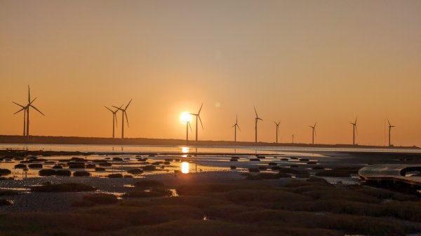 牛罵頭,梧棲出張所,高美濕地2334083