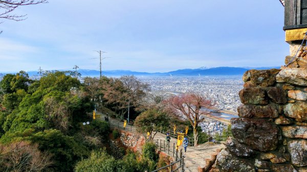 織田信長的天下夢2980811