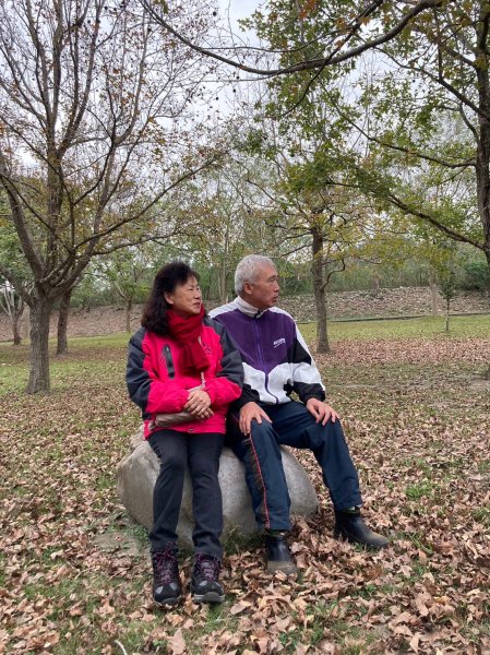 四訪苗栗的花果山-小百岳#037馬那邦山、雪霸國家公園管理處【小百岳集起來、苗栗-臺灣百大必訪步道】2394257