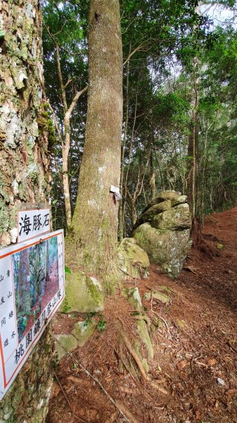 享受包山的感覺800842