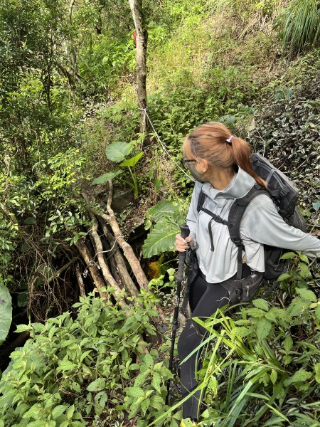 舊白鷺部落-久保山-久集山-棚集山-丹林 2025.8.72863987