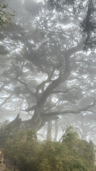 東埔-排雲-玉山西峰-玉山主峰2753169