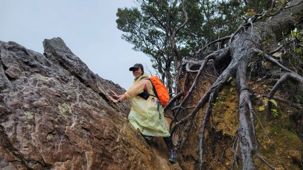 北得拉曼-20204062859836