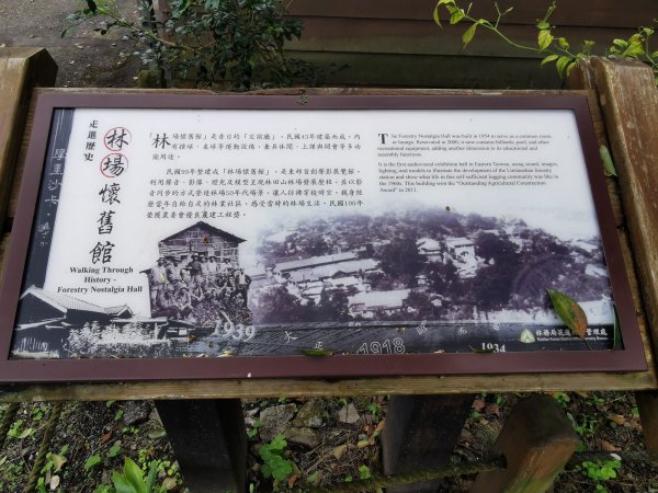 花蓮的必訪步道：美崙山公園、林田山林業文化園區 - 2022/2/31671458