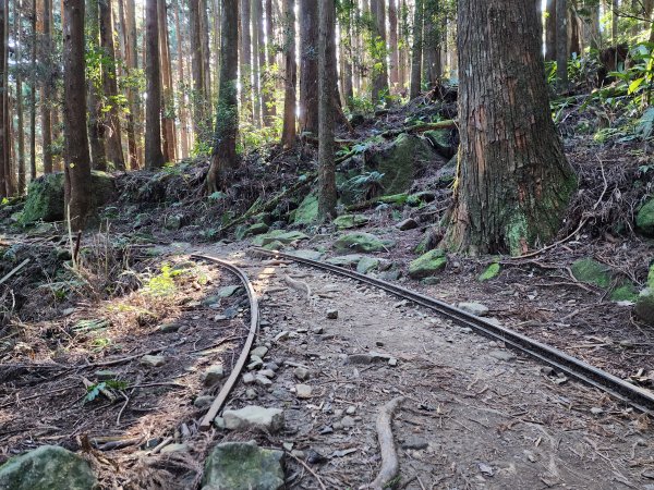 小百岳No.34⛰加里山2424180