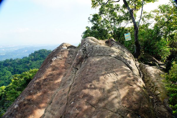 桃園 大溪 白石山、石厝坑山、石龜坑山3113830