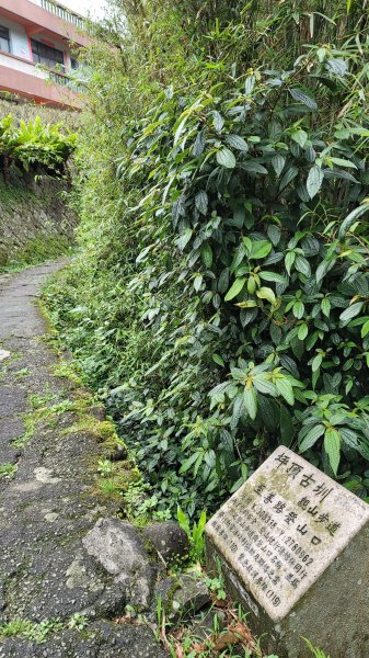 坪頂古圳步道2089573