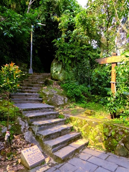 白鷺鷥山與大湖公園落羽松步道235804