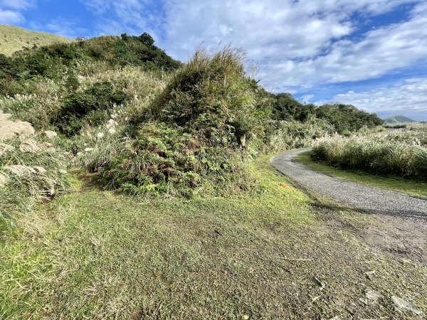 黃金十稜 龍洞稜 和美山登草山1220943