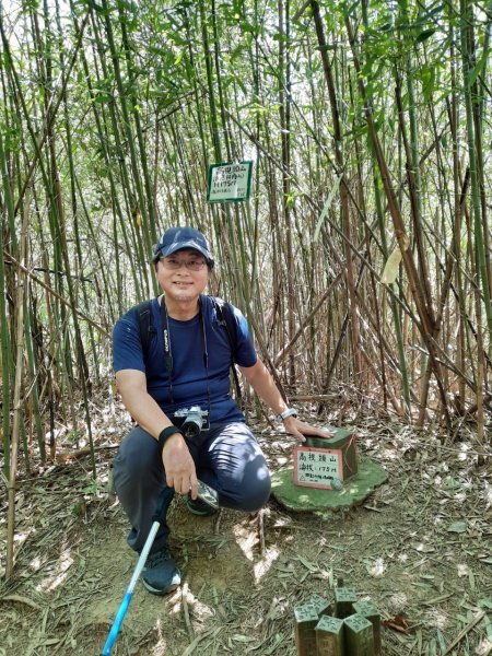 《新竹》竹林紙寮｜芎林文林古道O繞202308132248942