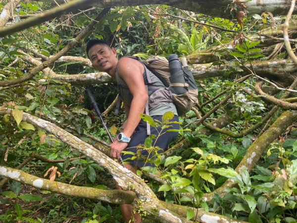 三寶山(烏心石山.鳩州嶺.尖凍山)步道【變成夢魘的大秘寶】2639861
