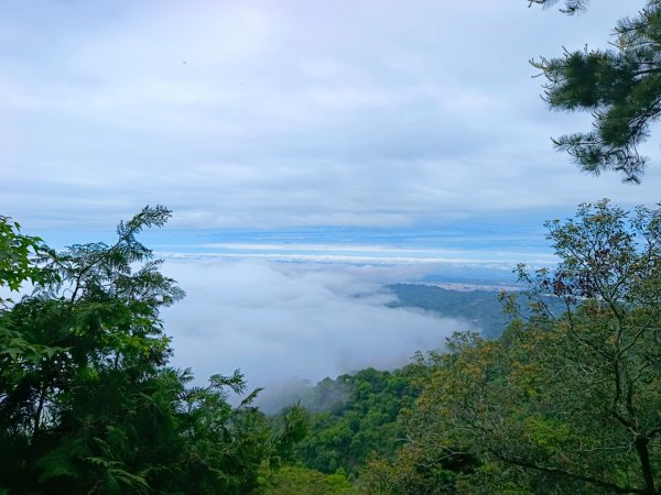 大坑頭嵙山出大景（山嵐海）2144660