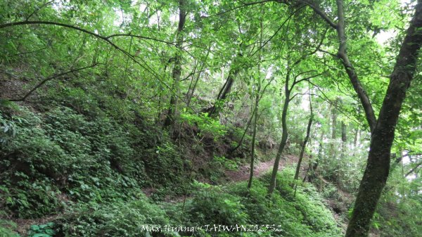 《雲林》望好望角｜石壁山嘉南雲峰步道(中側登山口）202506072805531