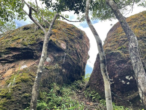 司公髻尾山2802979