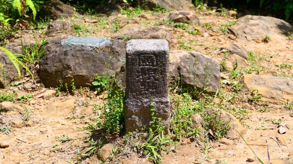 五堵獅頭山3043593