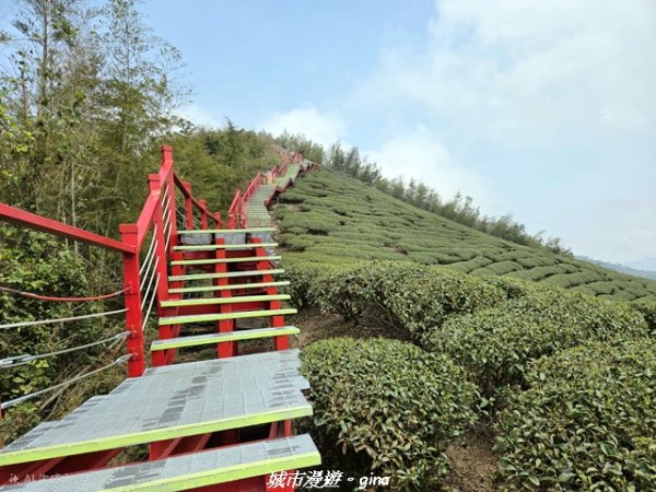 【嘉義梅山】雲嘉五連峰縱走