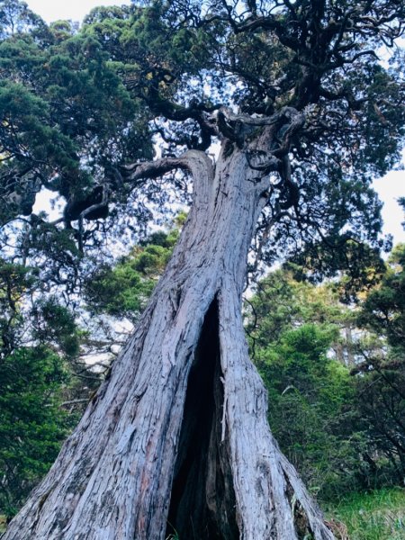 逆走雪山西稜下志佳陽1041401
