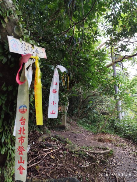 基隆輪胎步道、大武崙山、外木山國旗嶺步道、中山峽谷步道、外木山濱海大道、海龜岩2808290