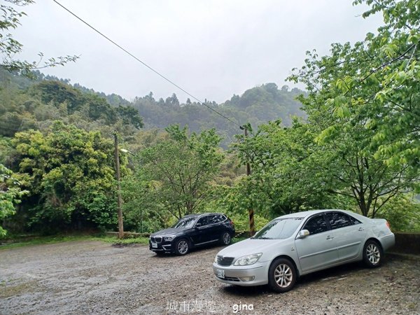 【苗栗大湖】山頂展望佳等到雲海。 馬那邦山登山步道2806786