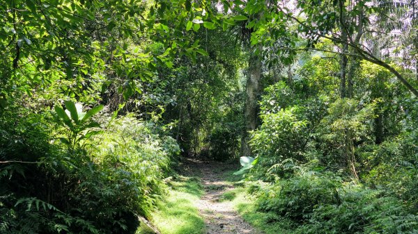 福山部落,內洞森遊區2552435