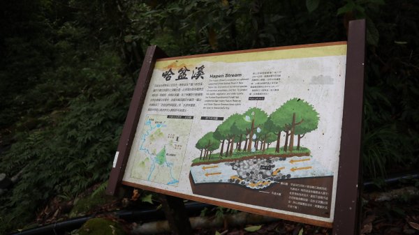福山植物園登山健行趣(步道)2269360