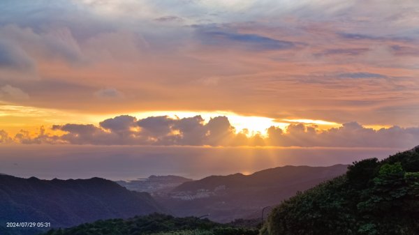 雲山水花鳥蝶 - 天龍國阿伯的日常7/18 & 21、22、292560011