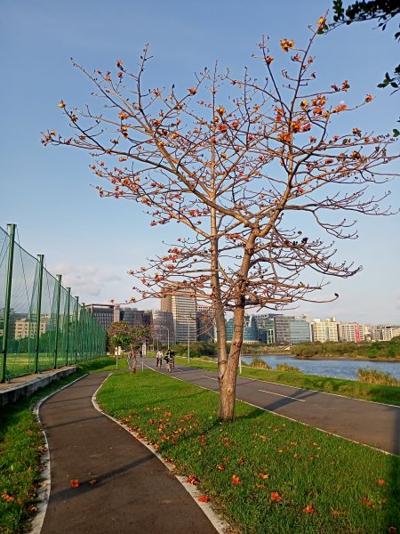 基隆河右岸、美堤河濱公園步道健走慢跑趣