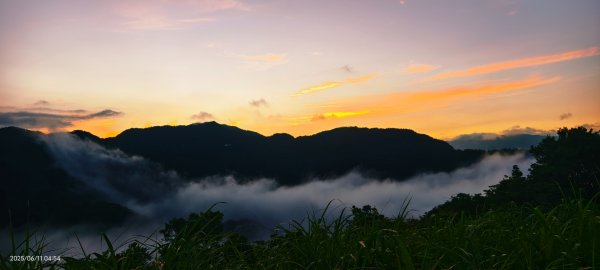 跟著雲海達人山友追雲趣 #草莓月亮 #月圓雲海 #霞光 #日出雲海 #茶園 6/112808771