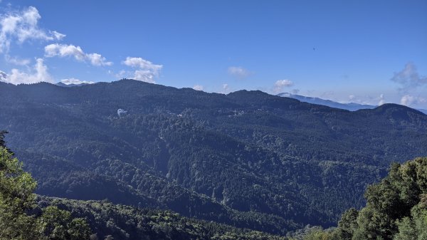 阿里山眠月線水漾森林1498687