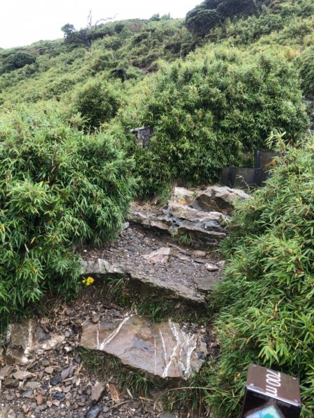 南投縣仁愛鄉 花蓮縣秀林鄉 合歡東峰672503
