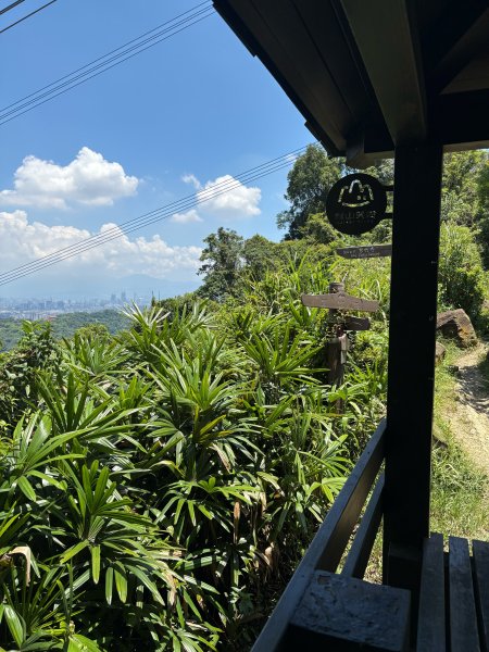 微笑山線：烘爐地3095074